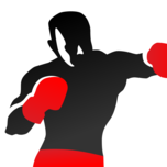 Boxing Workouts: Bag Training
